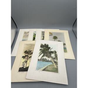 Set 6 Florida Coastal Art Prints Signed Hekkema Palm Hibiscus